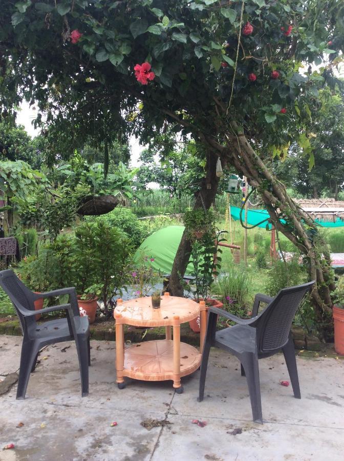 Sun N Soil Backpacker Hostel Lachhiwala 외부 사진