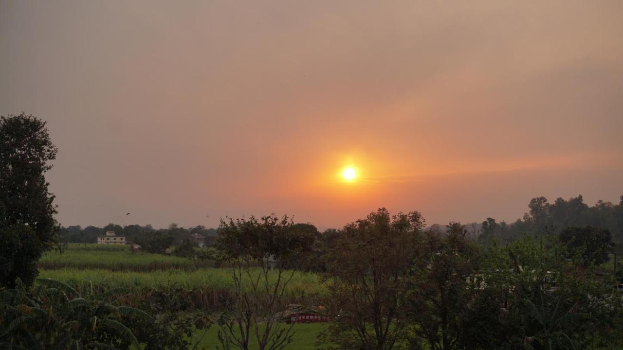 Sun N Soil Backpacker Hostel Lachhiwala 외부 사진
