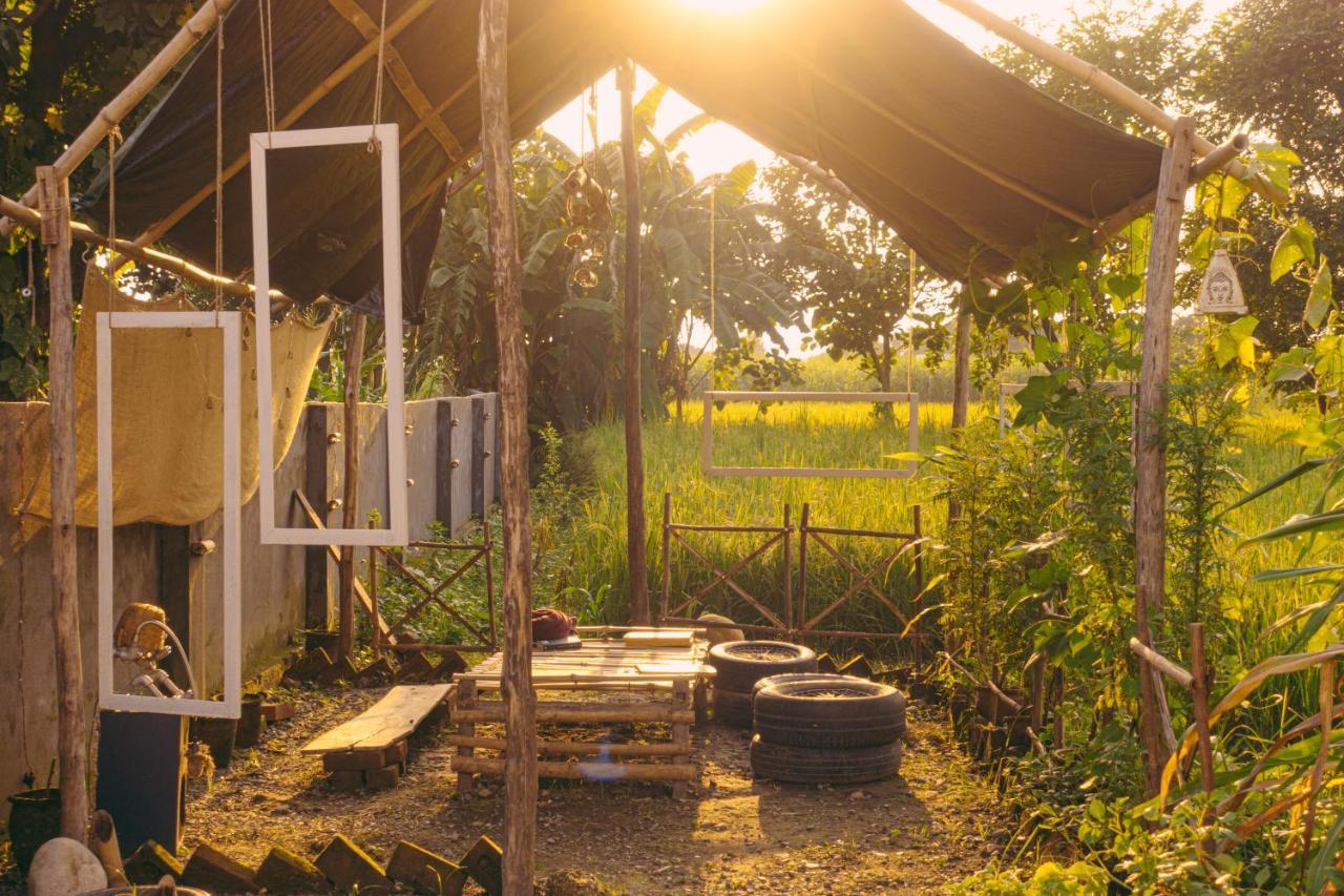 Sun N Soil Backpacker Hostel Lachhiwala 외부 사진